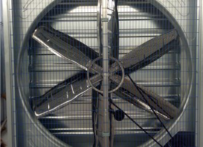 點擊查看詳細信息<br>標題：Heavy Hammer Type Animal Husbandry Fan 閱讀次數(shù)：1435