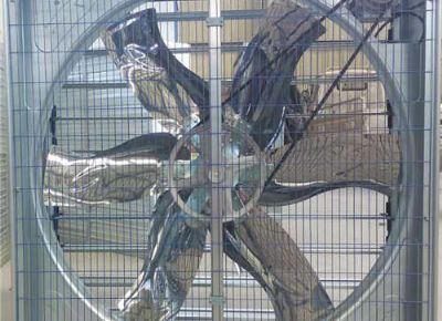 點擊查看詳細信息<br>標題：Push Pull Type Animal Husbandry Fan 閱讀次數(shù)：1993